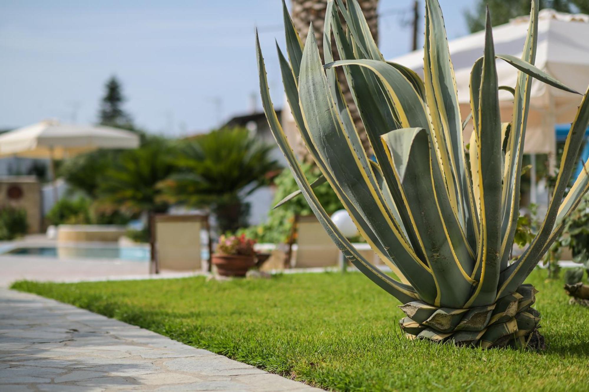 Estia Hotel Fourka Exterior photo